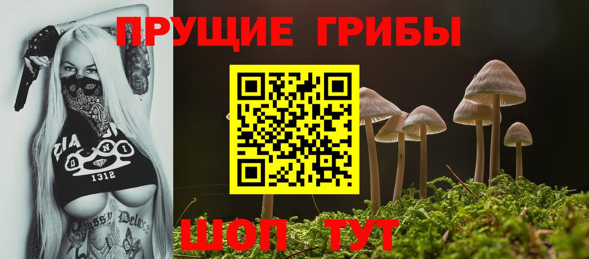 Псилоцибиновые грибы Cubensis  закладка  Вход с VPN  Нижний Тагил  Галлюциногенные грибы MAGIC MUSHROOMS 